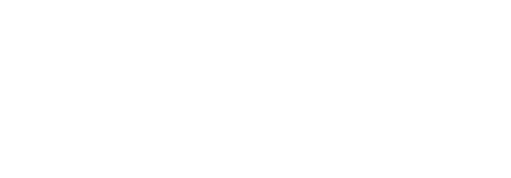 K and N logo